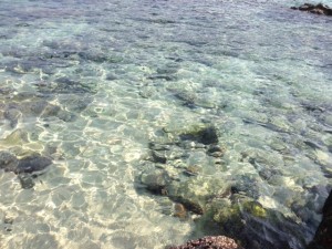 加計呂麻島の海